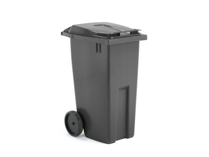 Abfallbehälter CLASSIC, 190 L, grau
