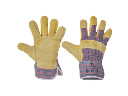 01010109 TERN LIGHT HS 01 004 CERVA 2016 14098 all.tif