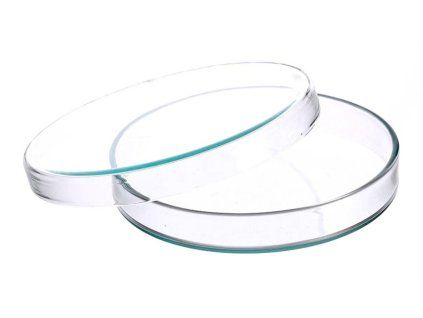 catalog item 302940 img 17677591656242