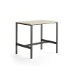 VARIOUS table, 1200x800x1050 mm, black, birch