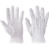 FF BUSTARD glovesPVC dot (Size 12)