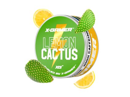 17883 x pouch lemon cactus gigapixel low res scale 2 00x