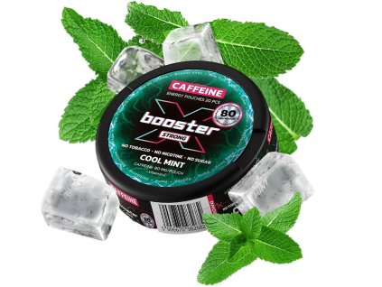 energeticke sacky x booster light cool mint fadee.cz
