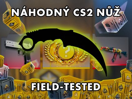 field tested nahodny nuz cs2