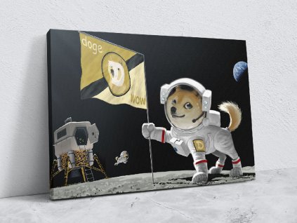 doge to the moon na eshop