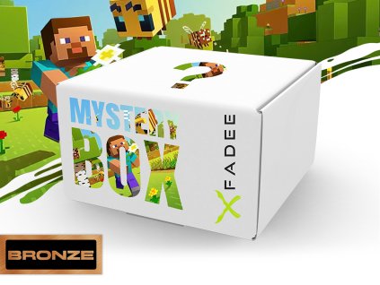 Minecraft Mystery box bronze