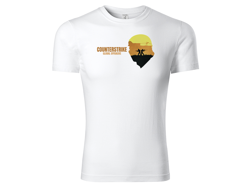 Counterstrike T