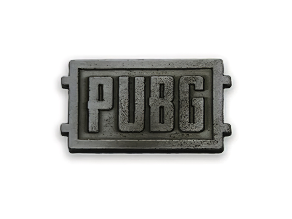 pin PUBG