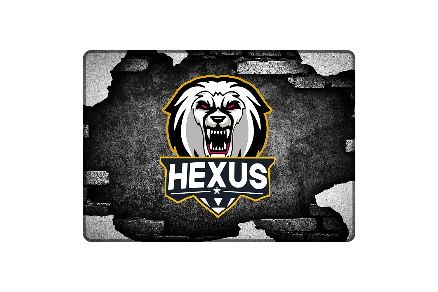 Podložka A3 HEXUS M mock up