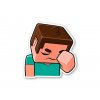 Samolepka Facepalm