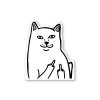 1050 samolepka middle finger cat