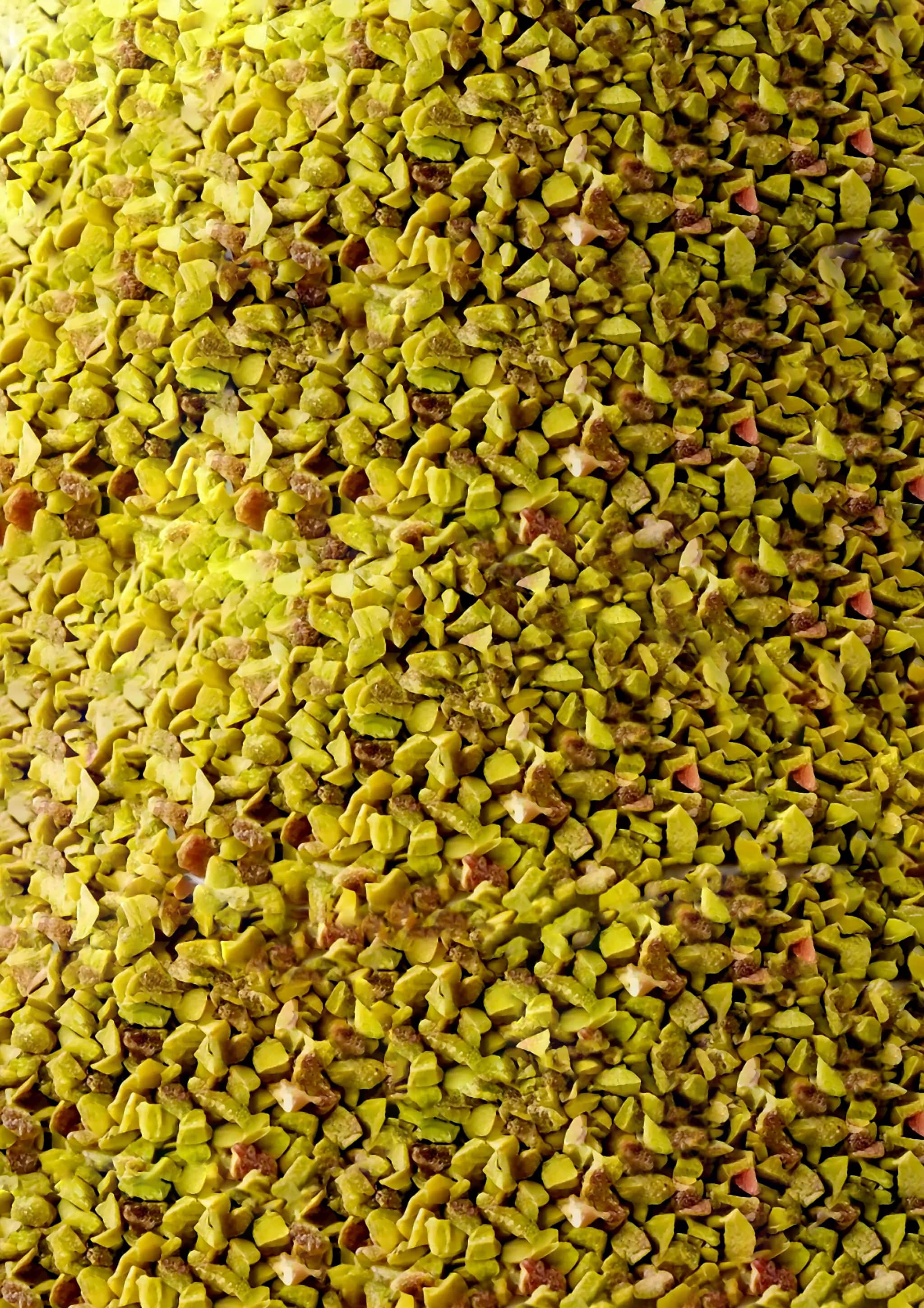 Vyrobeno v České republice