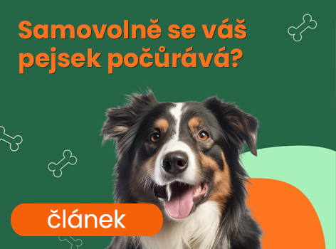 inkontinenční pás