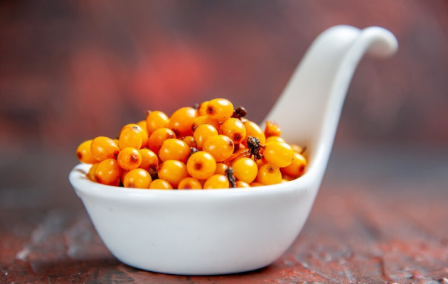 Rakytník řešetlákový