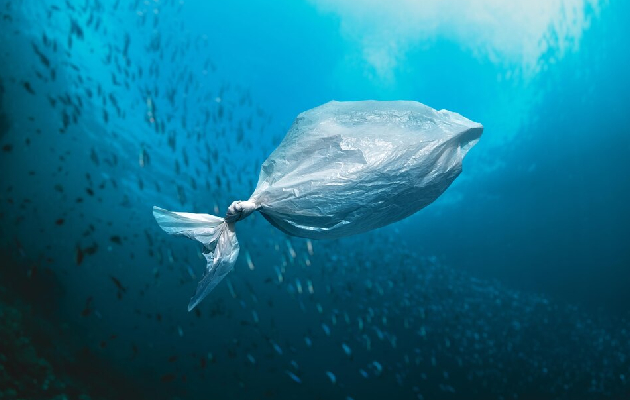 Zodpovědnost vůči životnímu prostředí