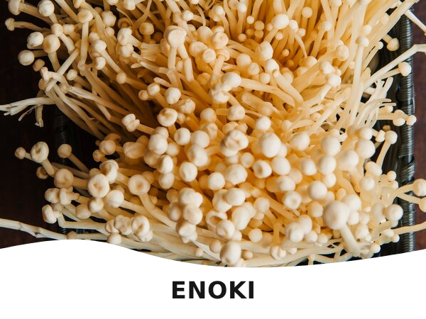 Enoki