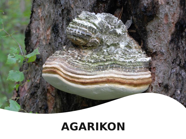 Agarikon