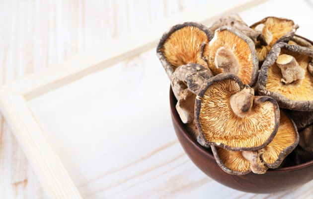 Podpora imunity - Vitální houby