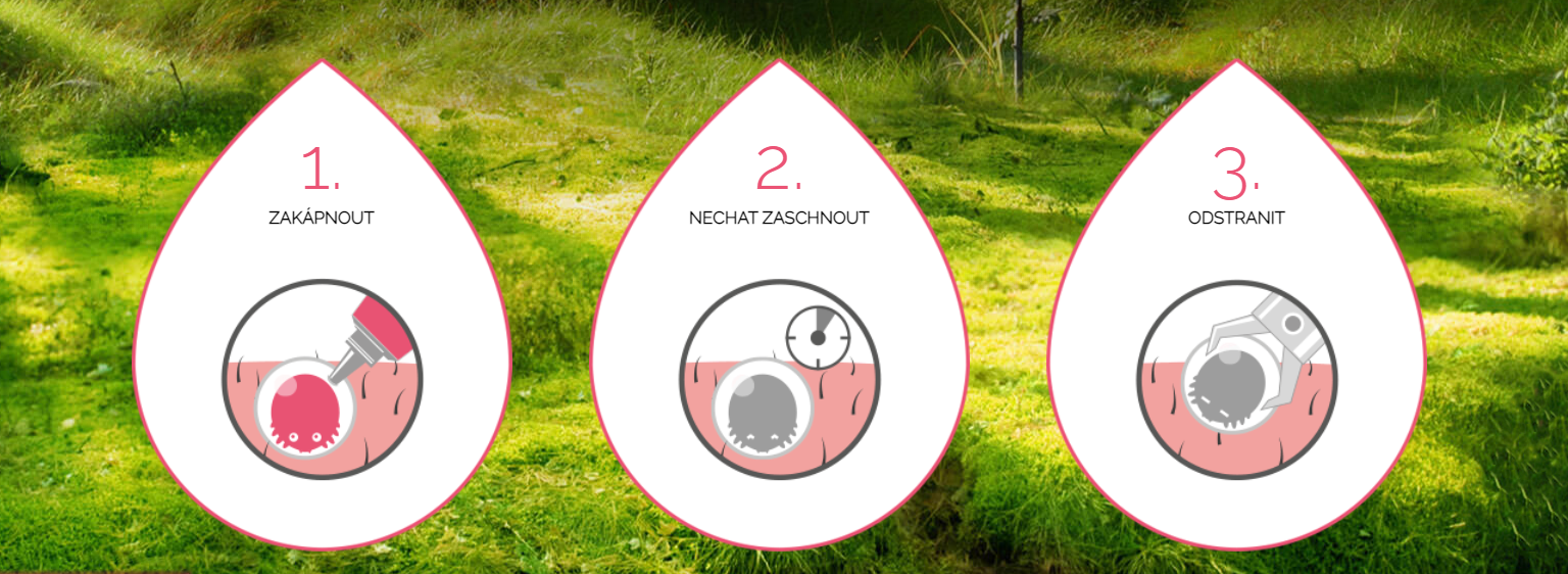 a8b5473c74e06_v_st_i_ek