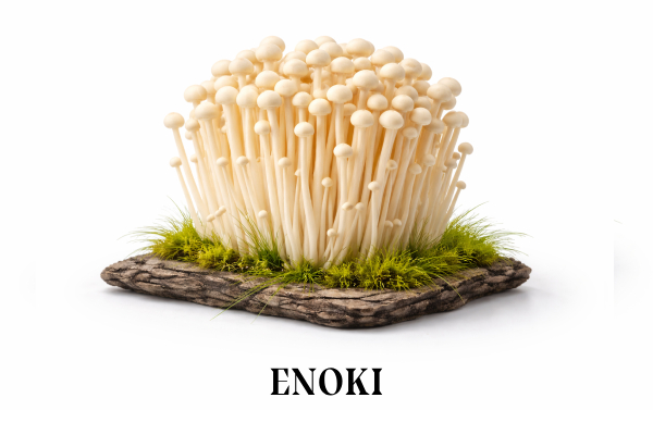 enoki