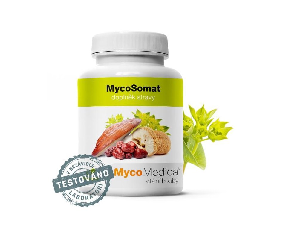 es1490 mycomedica mycosomat vg 500 mg 90 kapsli