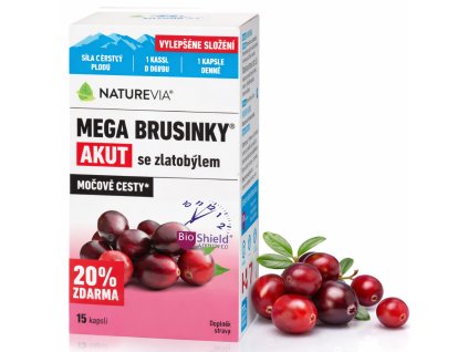 ChatGPT Image 26. 2. 2026 11 25 47 (8)