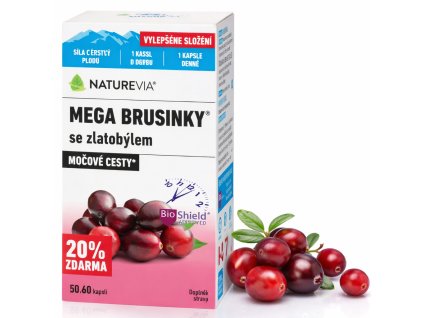 ChatGPT Image 26. 2. 2026 11 25 47 (7)