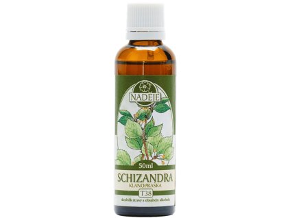 T38 chizandra