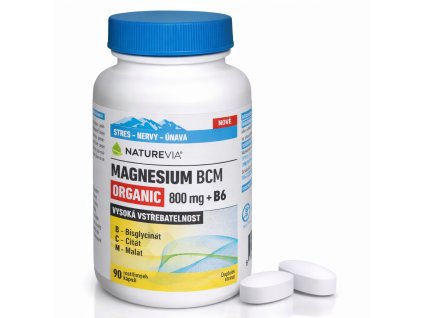 ChatGPT Image 26. 2. 2026 11 25 47 (5)