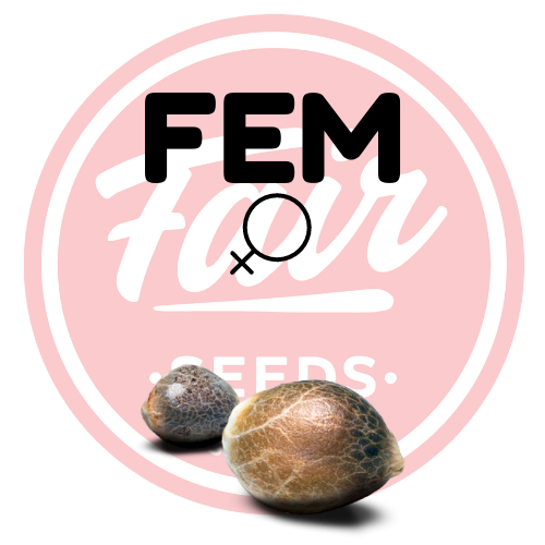 FEM