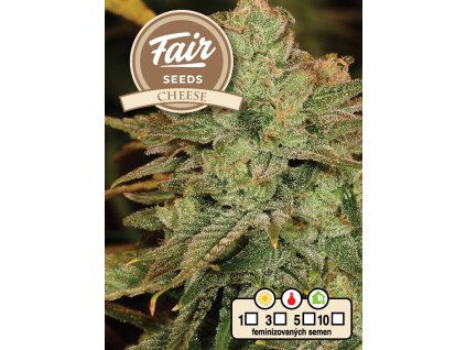 fair seeds cheese 2024