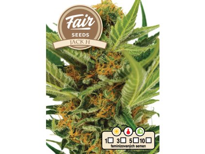 fair seeds jack h 2024