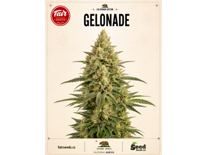 gelonade bud