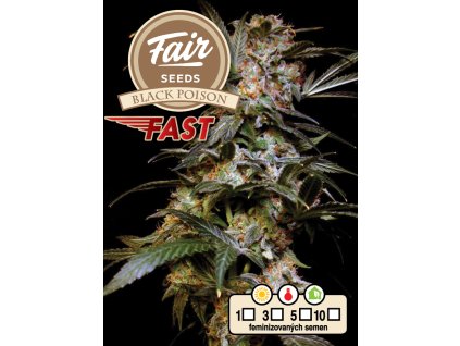 fair seeds black poison FAST 2024