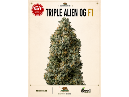 Triple Alien OG bud