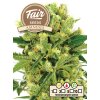 Fair Seeds Amnesia, feminized, 1ks
