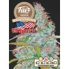 Fair Seeds Auto California Snow, feminized autoflowering, 1ks
