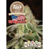 Fair Seeds Girl Scout Cookies, feminized, 1ks
