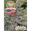 Fair Seeds Tangie, feminized, 1ks