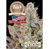 Fair Seeds Zkittlez, feminized, 1ks