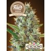 Fair Seeds Auto Somango, feminized autoflowering, 1ks