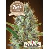 Fair Seeds Auto Somango feminizovaná autoflowering