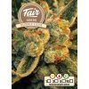 Fair Seeds Bubble Gum, feminized, 1ks