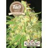 Fair Seeds MegaDick, feminized, 1ks