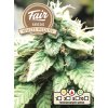 Fair Seeds White Widow, feminized, 1ks