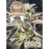 Fair Seeds CALI WEED Sunset Sherbet feminized