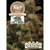 Fair Seeds CALI WEED Sherblato, feminized, 1ks