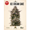 Fair Seeds Ice Cream Cake, feminized, 1ks