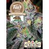 Fair Seeds Ice Cream Cake, feminized, 1ks