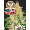 Fair Seeds Auto Zkittlez feminized autoflowering